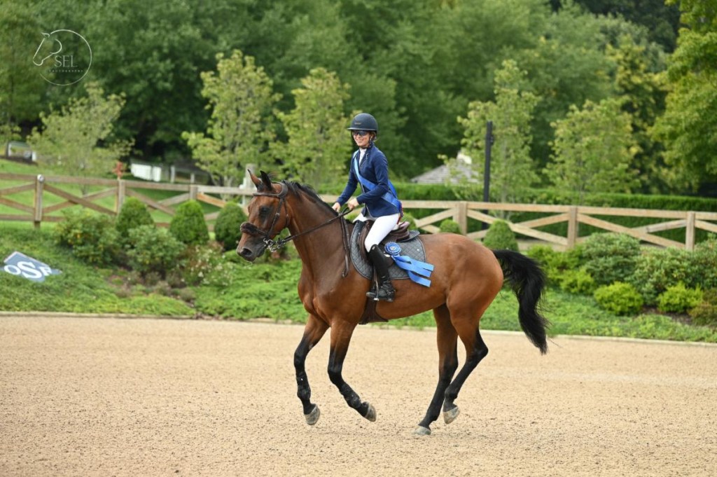 morocco royal tour equestrian