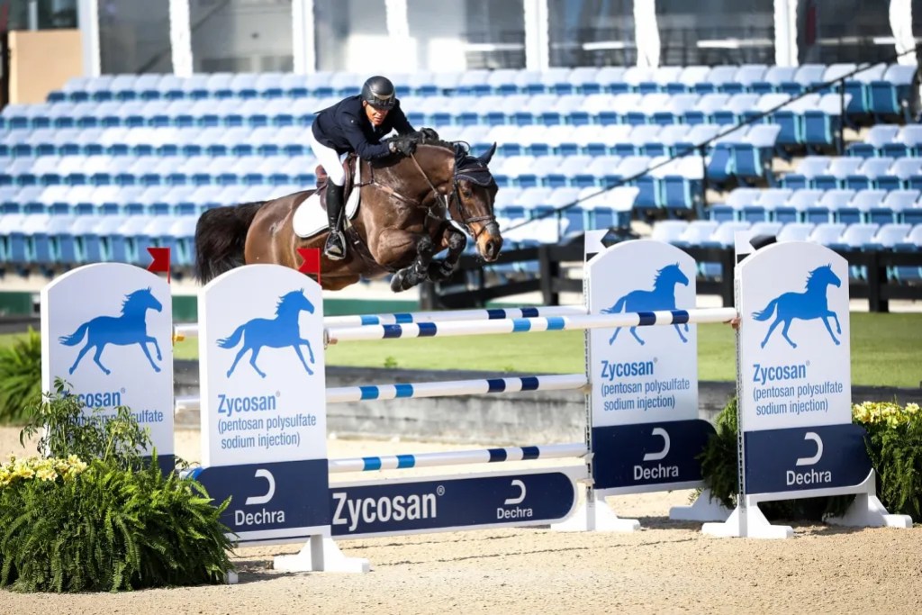 A rider on a horse jumping over a barrier marked with Zycosan signs at an equestrian competition.