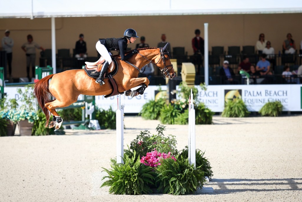 A rider on a horse jumps over an obstacle during a show jumping event, with spectators in the background and greenery around the arena.