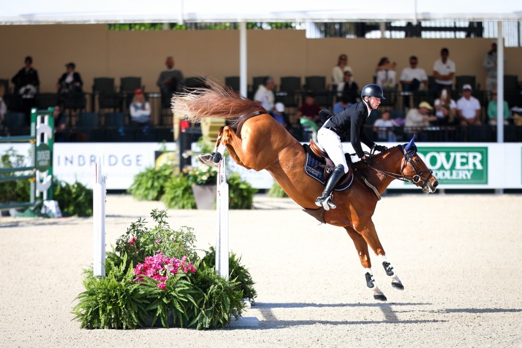 A horse and rider jump over a colorful floral jump during a competitive equestrian event.