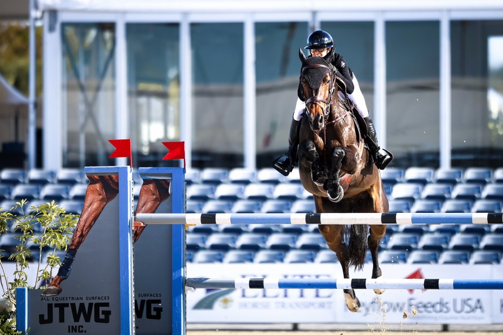 A rider and horse jumping over a blue and white show jump with red flags, in an equestrian arena.