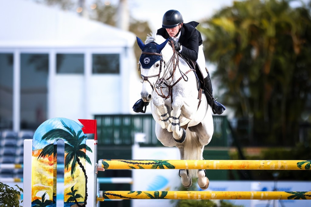 A rider in a black jacket and helmet is jumping a white horse over a colorful obstacle featuring palm trees and a sunset at an equestrian event.